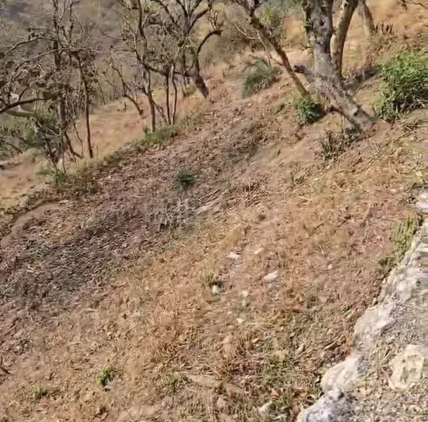 3,840 sq. yd. Commercial Land near The Westin Resort & Spa, Narendra Nagar