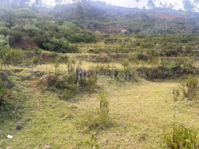 1,400 sq. yd. Residential Land near Kattabettu, Kotagiri