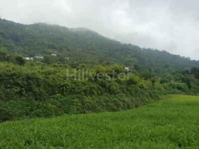 240 sq. yd. Residential Plot near Naukuchiatal Lake, Naukuchiatal