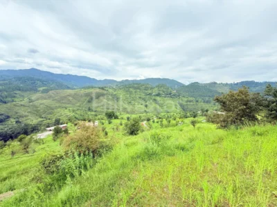 240 sq. yd. Residential Plot near Syahi Devi Temple, Shitlakhet, Almora