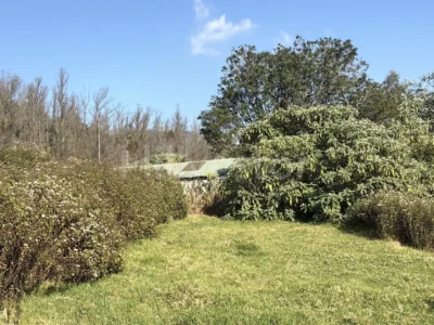 338 sq. yd. Residential Plot near Sterling Resort, Fern Hill, Ooty