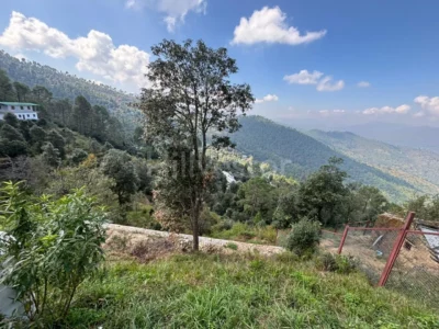 240 sq. yd. Residential Plot near Seetla, Mukteshwar
