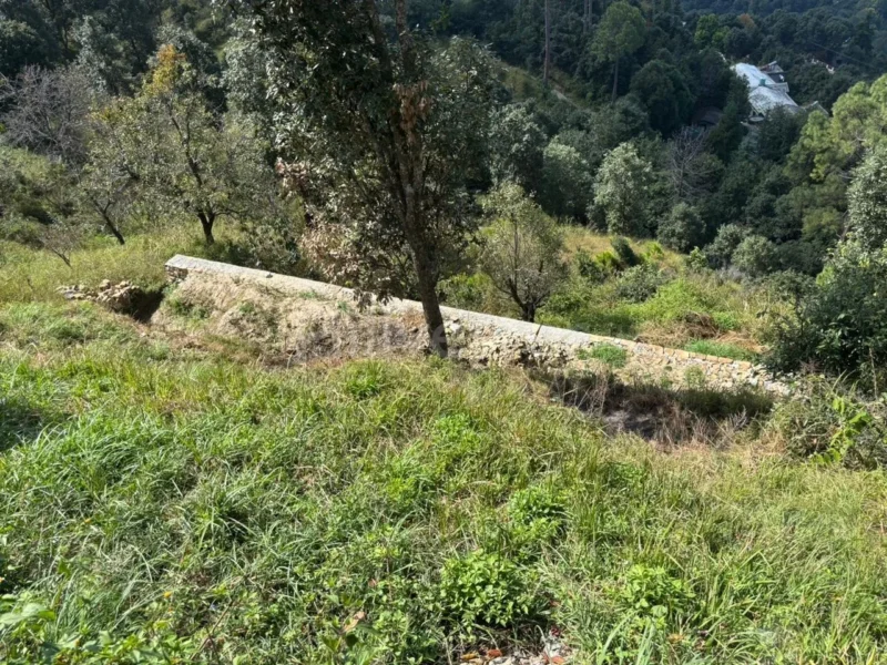 240 sq. yd. Residential Plot near Seetla, Mukteshwar