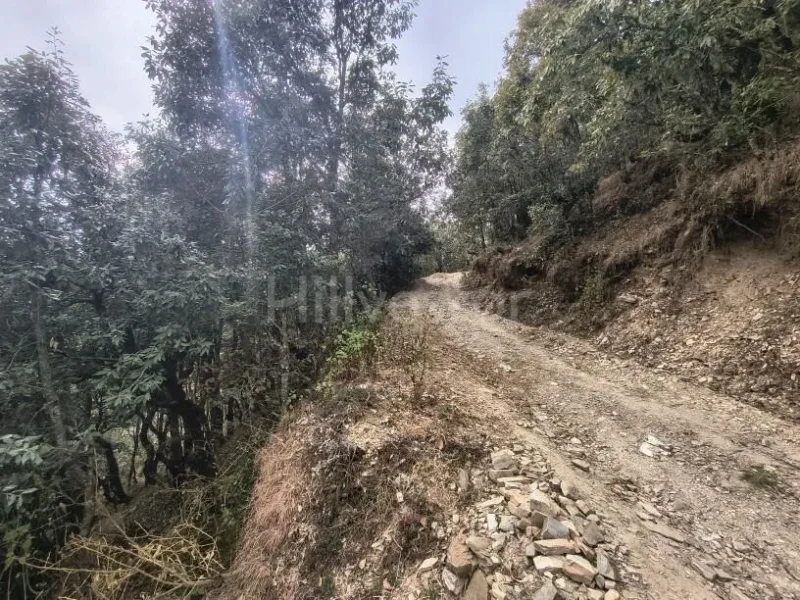 960 sq. yd. Residential Land near Mukteshwar Market, Mukteshwar