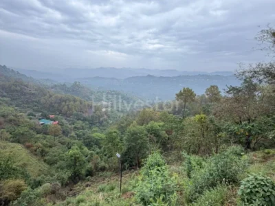 1,675 sq. yd. Residential Land near Kuthar Fort, Kasauli