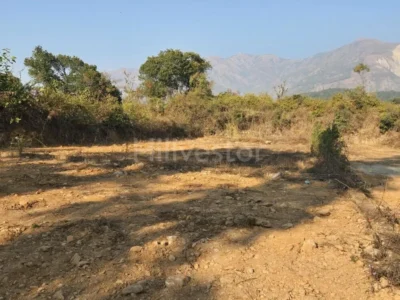 200 sq. yd. Residential Plot near Birsani, Dehradun
