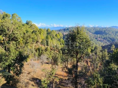 2,200 sq. yd. Residential Land near Seetla, Mukteshwar