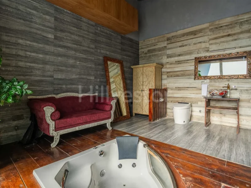 2,400 sq. ft. 2 BHK Villa near Silver Peaks, Badhan, Ranikhet