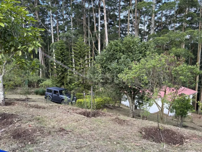 2,420 sq. yd. Residential Land in Shenbaganur, Kodaikanal