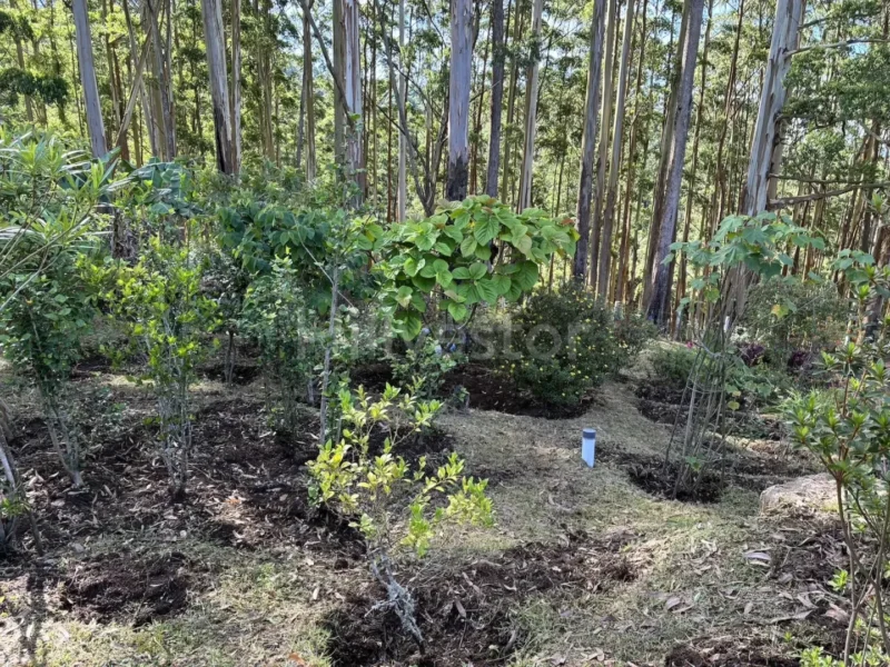 2,420 sq. yd. Residential Land in Shenbaganur, Kodaikanal