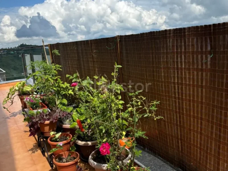3,000 sq. ft. 4 BHK Villa in Raksha Paradise, Majkhali, Ranikhet