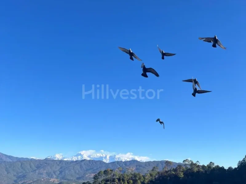 3,000 sq. ft. 4 BHK Villa in Raksha Paradise, Majkhali, Ranikhet