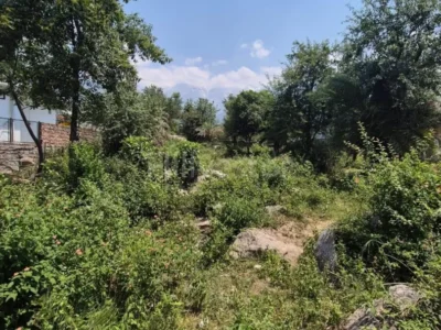 700 sq. yd. Residential Plot near Dari Bypass Road, Dari, Dharamshala