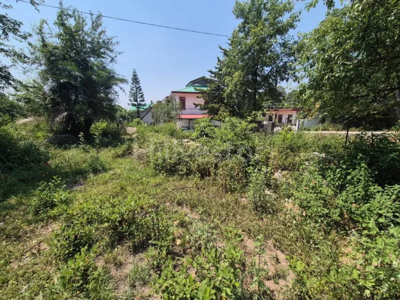 700 sq. yd. Residential Plot near Dari Bypass Road, Dari, Dharamshala